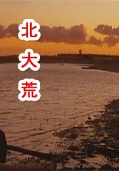 久久婷婷丁香