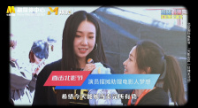 姐姐的爱情树