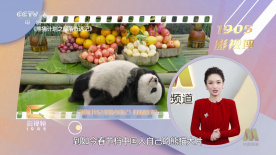 男友出差的谎言